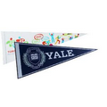 Silk Screened Felt Pennant